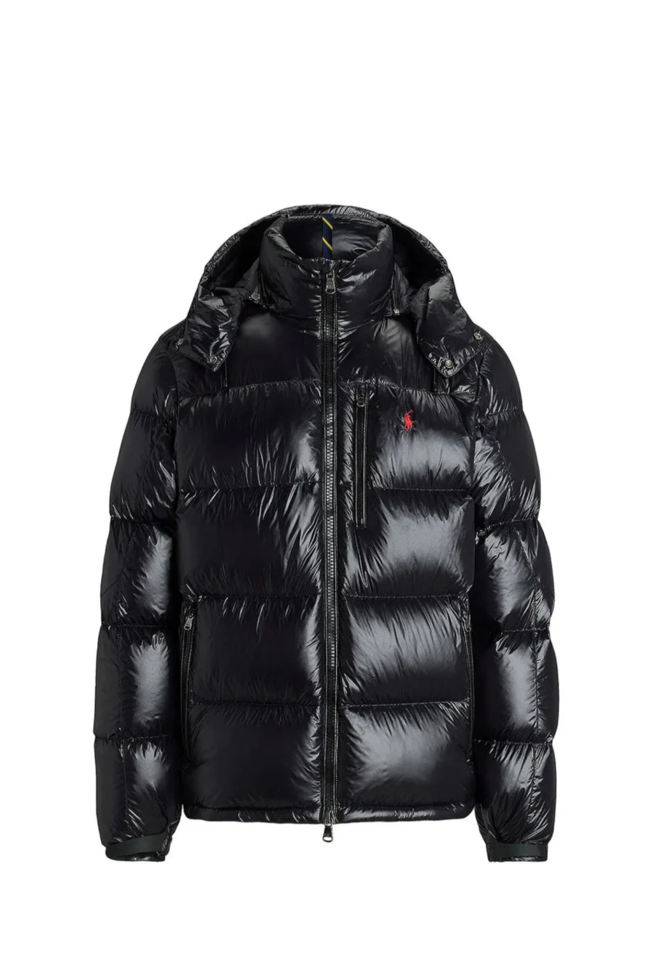 „RL“ Shiny Puffer