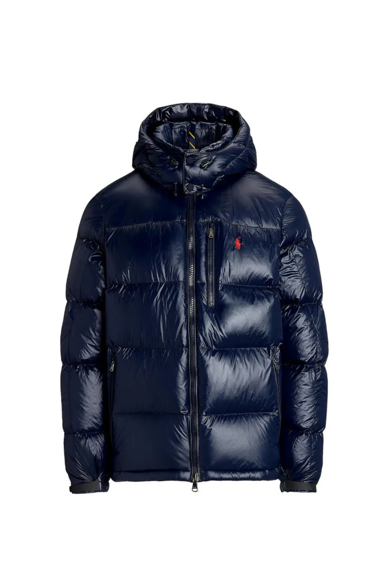 „RL“ Shiny Puffer